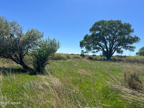 Tiny photo for 7641 Blackies Road, Taylor, AZ 85939 (MLS # 255295)