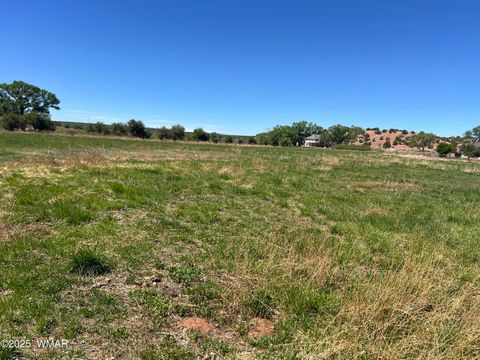 Tiny photo for 7641 Blackies Road, Taylor, AZ 85939 (MLS # 255295)