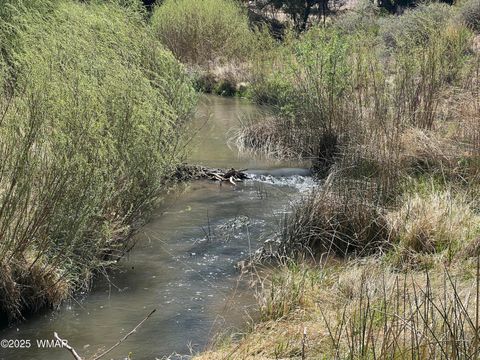 Tiny photo for 7641 Blackies Road, Taylor, AZ 85939 (MLS # 255295)