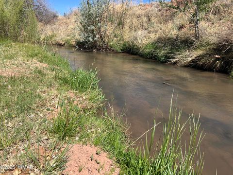 Tiny photo for 7641 Blackies Road, Taylor, AZ 85939 (MLS # 255295)