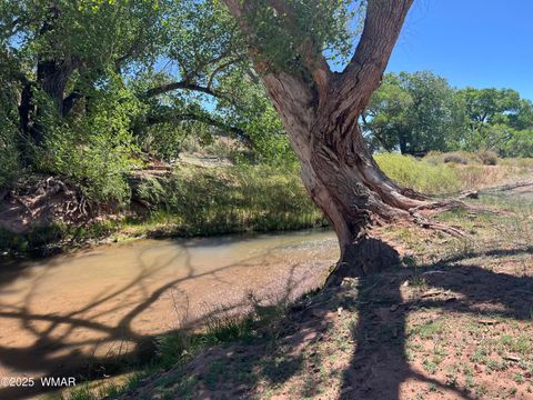 Tiny photo for 7641 Blackies Road, Taylor, AZ 85939 (MLS # 255295)