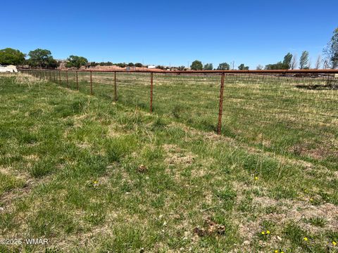 Tiny photo for 7641 Blackies Road, Taylor, AZ 85939 (MLS # 255295)