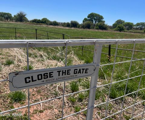 Tiny photo for 7641 Blackies Road, Taylor, AZ 85939 (MLS # 255295)