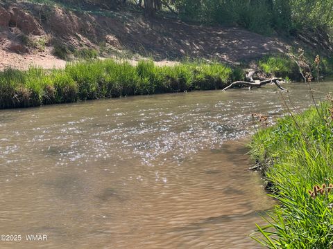 Tiny photo for 7641 Blackies Road, Taylor, AZ 85939 (MLS # 255295)