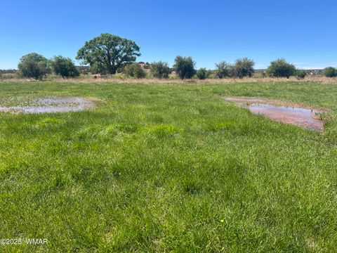 Tiny photo for 7641 Blackies Road, Taylor, AZ 85939 (MLS # 255295)