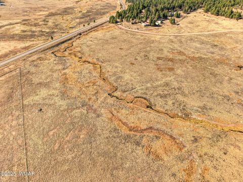 Tiny photo for Lot 35 The Ranch at Alpine, Alpine, AZ 85920 (MLS # 258742)