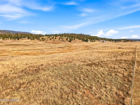 Tiny photo for Lot 35 The Ranch at Alpine, Alpine, AZ 85920 (MLS # 258742)