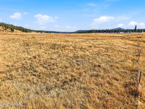 Tiny photo for Lot 35 The Ranch at Alpine, Alpine, AZ 85920 (MLS # 258742)