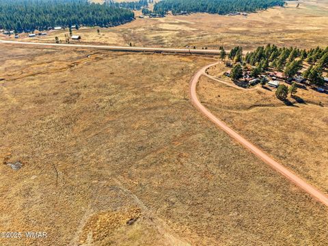 Tiny photo for Lot 35 The Ranch at Alpine, Alpine, AZ 85920 (MLS # 258742)