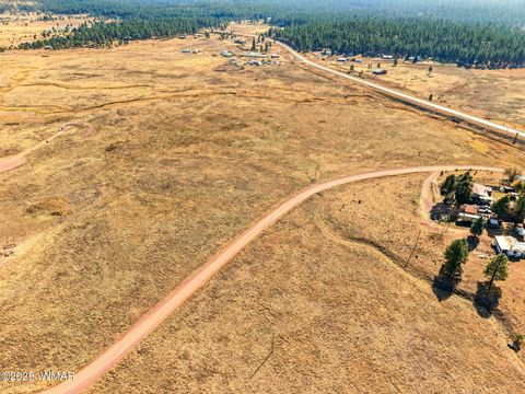 Tiny photo for Lot 35 The Ranch at Alpine, Alpine, AZ 85920 (MLS # 258742)