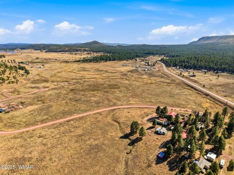 Tiny photo for Lot 35 The Ranch at Alpine, Alpine, AZ 85920 (MLS # 258742)