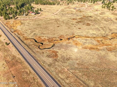 Tiny photo for Lot 35 The Ranch at Alpine, Alpine, AZ 85920 (MLS # 258742)