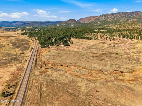 Tiny photo for Lot 35 The Ranch at Alpine, Alpine, AZ 85920 (MLS # 258742)