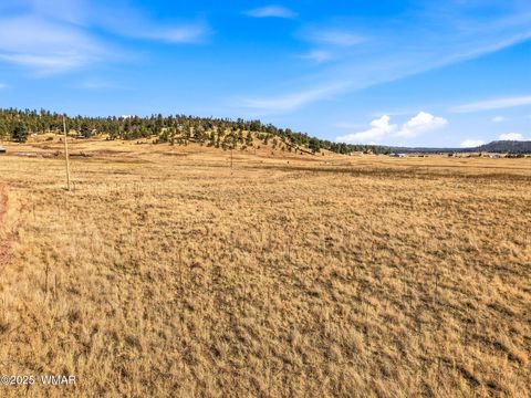 Tiny photo for Lot 35 The Ranch at Alpine, Alpine, AZ 85920 (MLS # 258742)