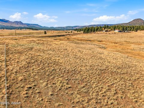 Tiny photo for Lot 35 The Ranch at Alpine, Alpine, AZ 85920 (MLS # 258742)