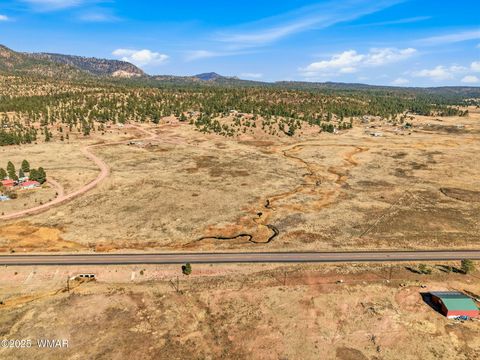 Tiny photo for Lot 35 The Ranch at Alpine, Alpine, AZ 85920 (MLS # 258742)