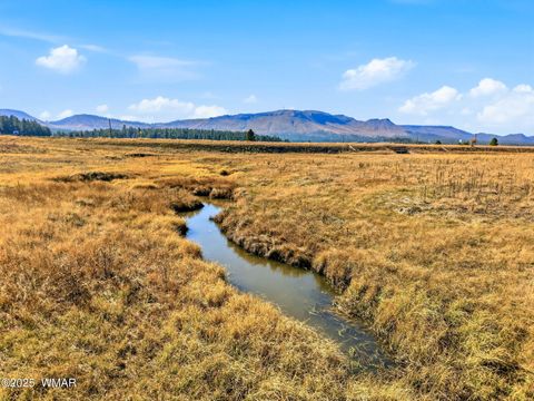 Tiny photo for Lot 35 The Ranch at Alpine, Alpine, AZ 85920 (MLS # 258742)