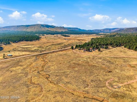 Tiny photo for Lot 35 The Ranch at Alpine, Alpine, AZ 85920 (MLS # 258742)