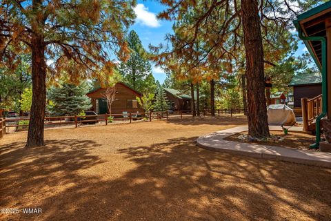 Tiny photo for 2692 Palomino Trail, Overgaard, AZ 85933 (MLS # 257631)