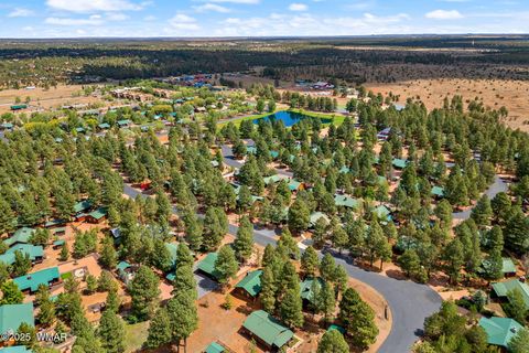 Tiny photo for 2692 Palomino Trail, Overgaard, AZ 85933 (MLS # 257631)
