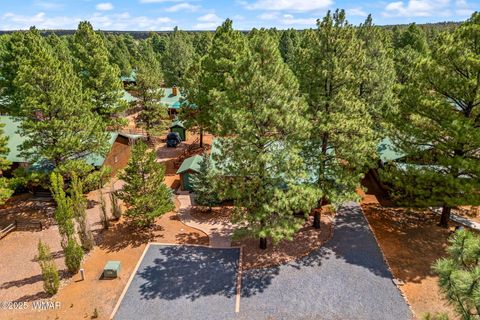 Tiny photo for 2692 Palomino Trail, Overgaard, AZ 85933 (MLS # 257631)