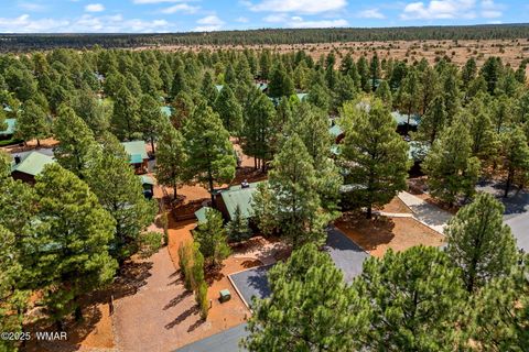 Tiny photo for 2692 Palomino Trail, Overgaard, AZ 85933 (MLS # 257631)