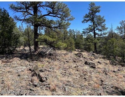Tiny photo for TBD Show Low Lake area, Show Low, AZ 85901 (MLS # 255716)