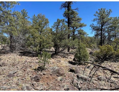 Tiny photo for TBD Show Low Lake area, Show Low, AZ 85901 (MLS # 255716)
