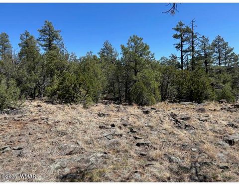 Tiny photo for TBD Show Low Lake area, Show Low, AZ 85901 (MLS # 255716)