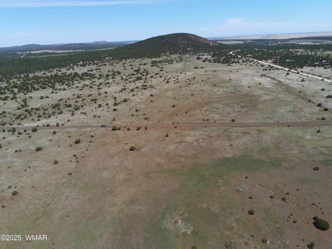 Tiny photo for TBD N3262, Vernon, AZ 85940 (MLS # 257744)