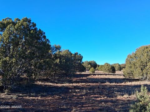 Tiny photo for 5 N8715, Concho, AZ 85924 (MLS # 258854)