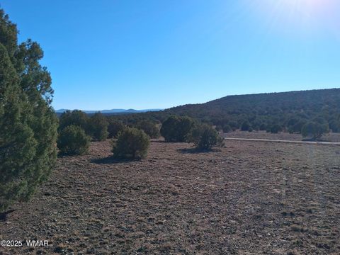 Photo of 5 N8715, Concho, AZ 85924 (MLS # 258854)