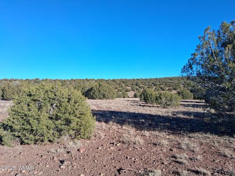 Tiny photo for 5 N8715, Concho, AZ 85924 (MLS # 258854)