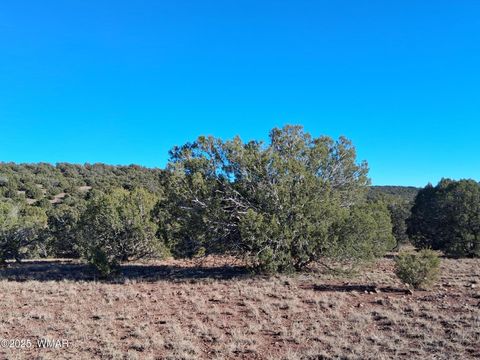 Tiny photo for 5 N8715, Concho, AZ 85924 (MLS # 258854)