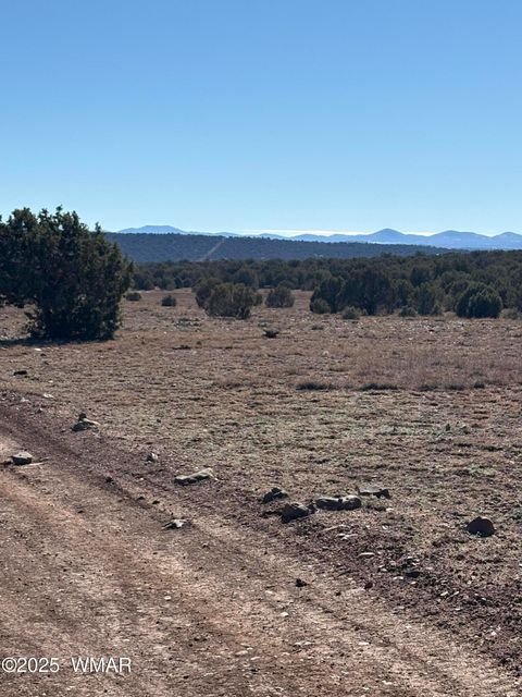 Photo of 5 N8715, Concho, AZ 85924 (MLS # 258854)