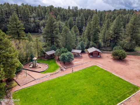 Tiny photo for 4820 W Tatanka Drive, Show Low, AZ 85901 (MLS # 258352)