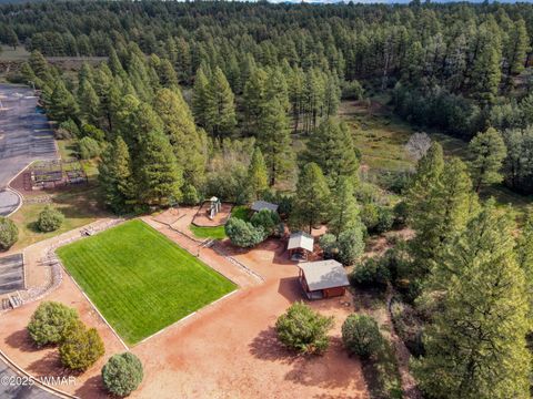 Tiny photo for 4820 W Tatanka Drive, Show Low, AZ 85901 (MLS # 258352)