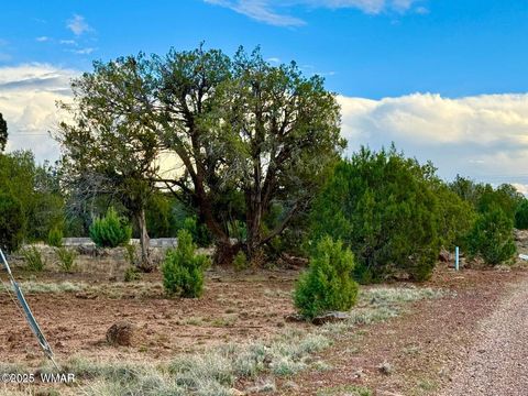 Tiny photo for 1821 & 1825 Shumway Street, Show Low, AZ 85901 (MLS # 258674)