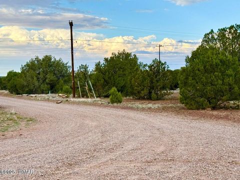 Tiny photo for 1821 & 1825 Shumway Street, Show Low, AZ 85901 (MLS # 258674)