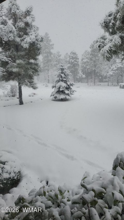 Tiny photo for 5963 Luminary Way, Lakeside, AZ 85929 (MLS # 259045)