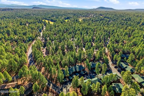 Tiny photo for 2517 Village Court #46, Pinetop, AZ 85935 (MLS # 259025)