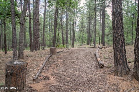 Tiny photo for 3771 S Cattle Drive, Show Low, AZ 85901 (MLS # 261666)