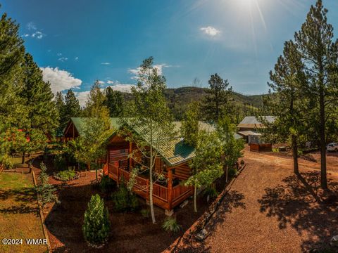 Tiny photo for 44 N Main Street #161, Greer, AZ 85927 (MLS # 259250)