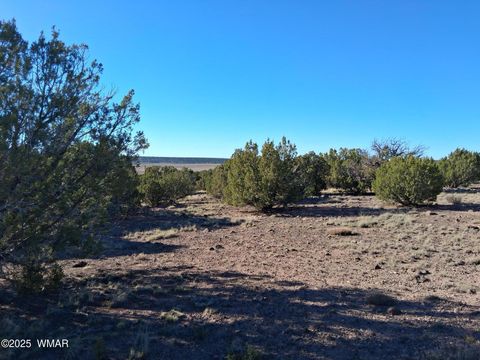 Photo of 3 N 8716, Concho, AZ 85924 (MLS # 258943)