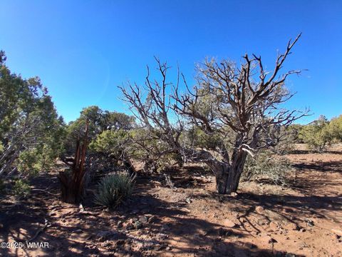 Tiny photo for 3 N 8716, Concho, AZ 85924 (MLS # 258943)