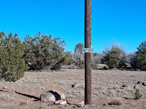 Tiny photo for 3 N 8716, Concho, AZ 85924 (MLS # 258943)