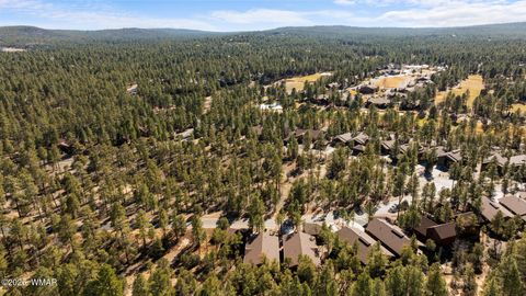 Tiny photo for 3490 W Black Oak Loop, Show Low, AZ 85901 (MLS # 259484)