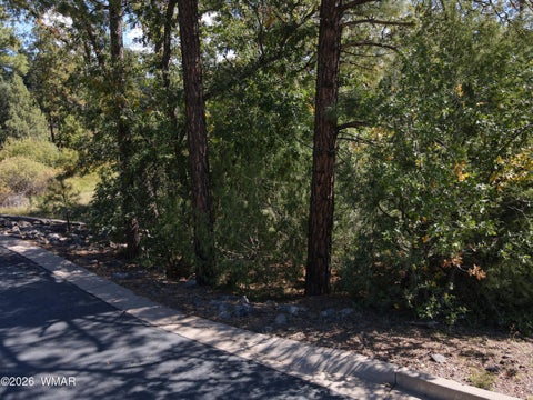 Tiny photo for 18 Walnut Creek Trail, Lakeside, AZ 85929 (MLS # 263510)