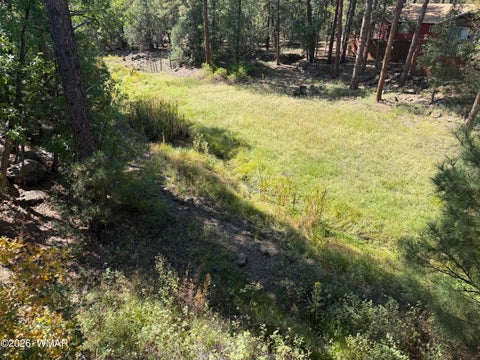 Tiny photo for 18 Walnut Creek Trail, Lakeside, AZ 85929 (MLS # 263510)