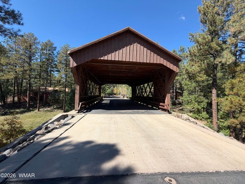 Tiny photo for 18 Walnut Creek Trail, Lakeside, AZ 85929 (MLS # 263510)